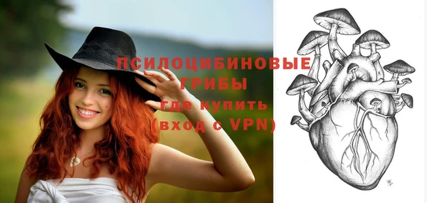 2c-b Ельня