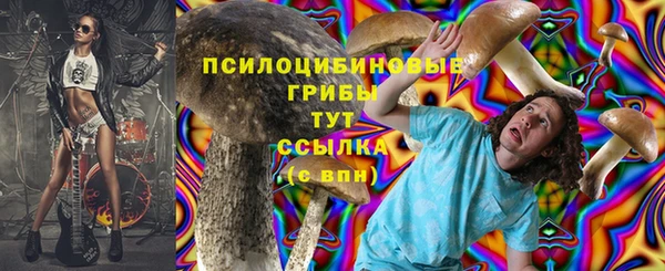 2c-b Ельня