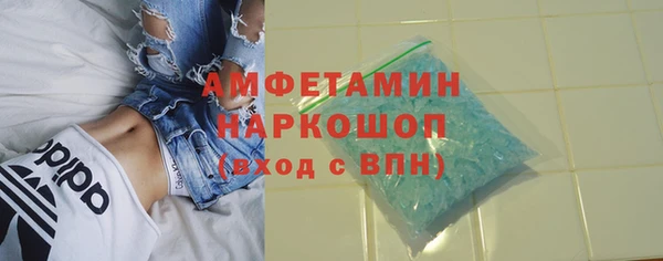 2c-b Ельня