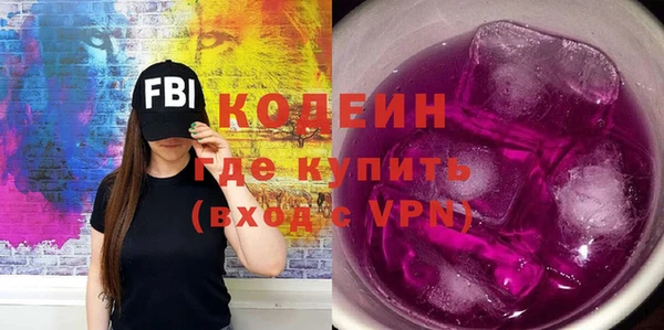 2c-b Ельня