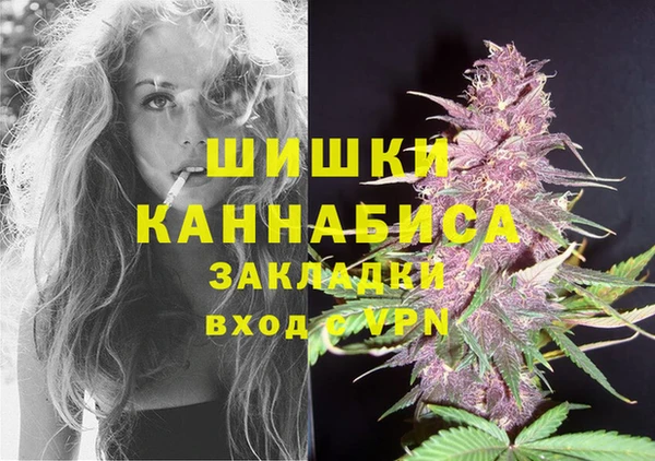 СК Елабуга