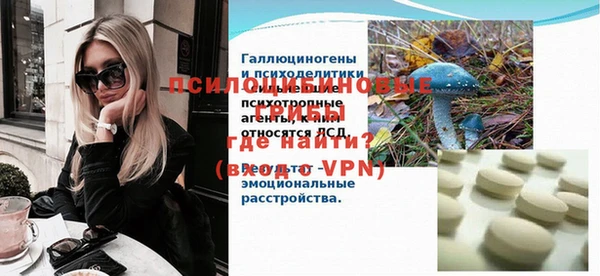 2c-b Ельня
