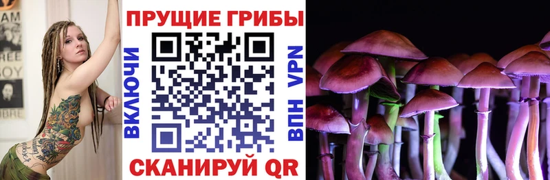 купить  цена  Карасук  Псилоцибиновые грибы GOLDEN TEACHER 