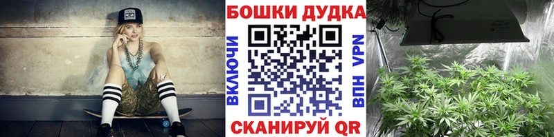 Конопля сатива  Карасук 